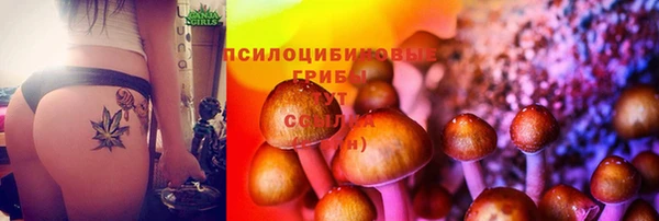 spice Володарск