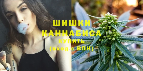 mdpv Вяземский